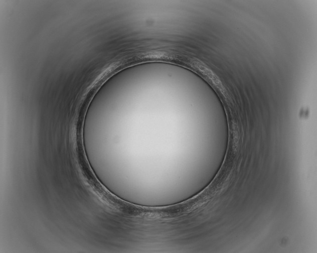 X0000096990482200802291212