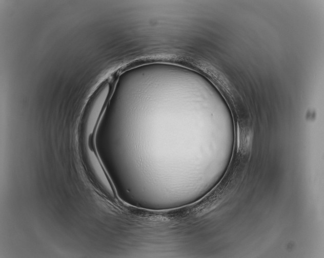 X0000096990483200802291212