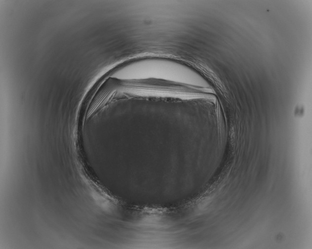 X0000096990484200802291212