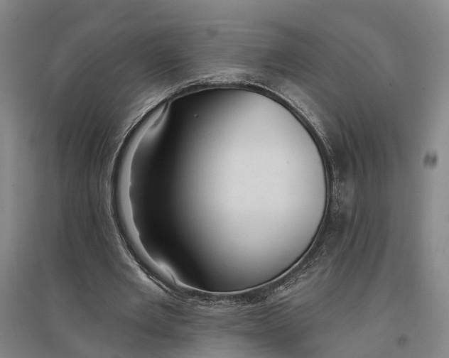 X0000096990485200802291212