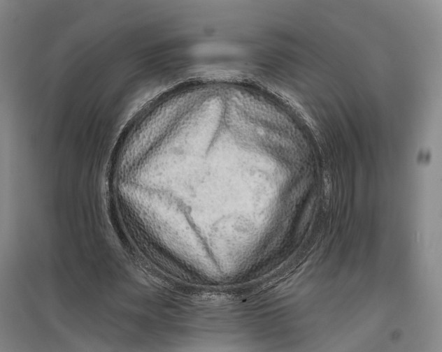 X0000096990487200802291212