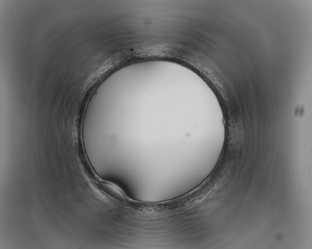 X0000096990489200802291212