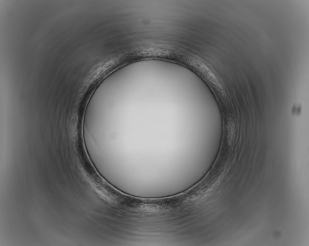 X0000096990490200802291212