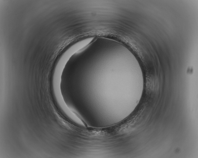 X0000096990493200802291212