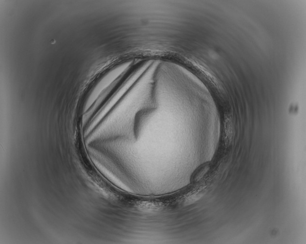 X0000096990494200802291212