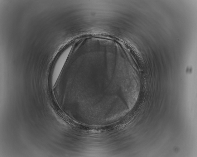 X0000096990496200802291212