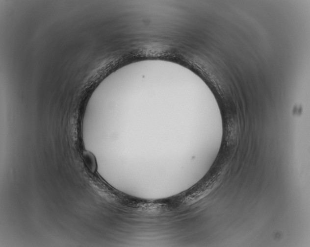 X0000096990497200802291212