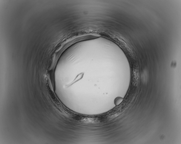 X0000096990499200802291212