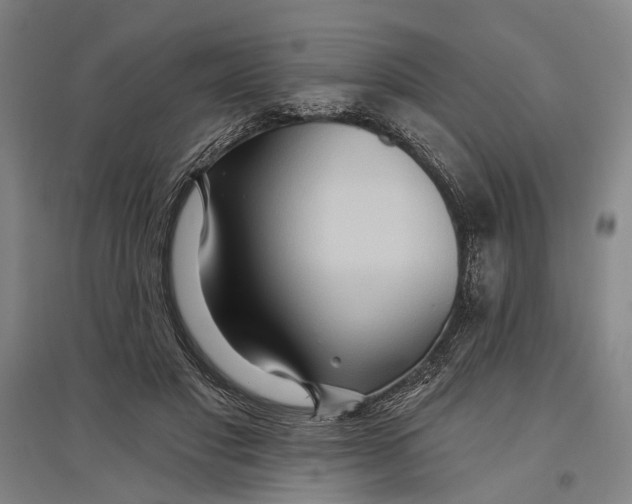 X0000096990501200802291212