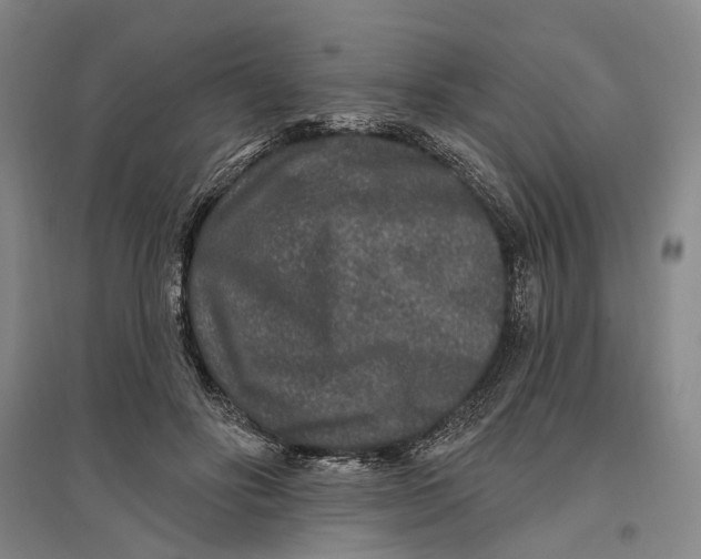 X0000096990502200802291212