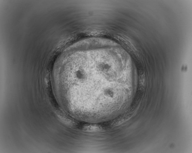 X0000096990503200802291212