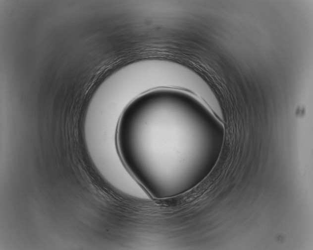 X0000096990504200802291212