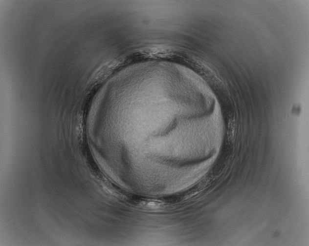 X0000096990506200802291212