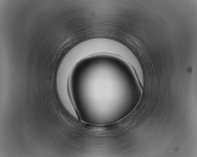 X0000096990507200802291212