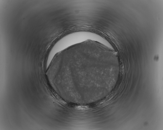 X0000096990508200802291212