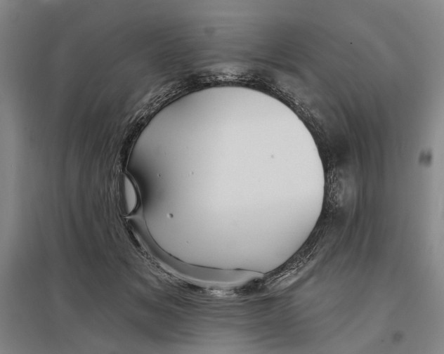 X0000096990509200802291212