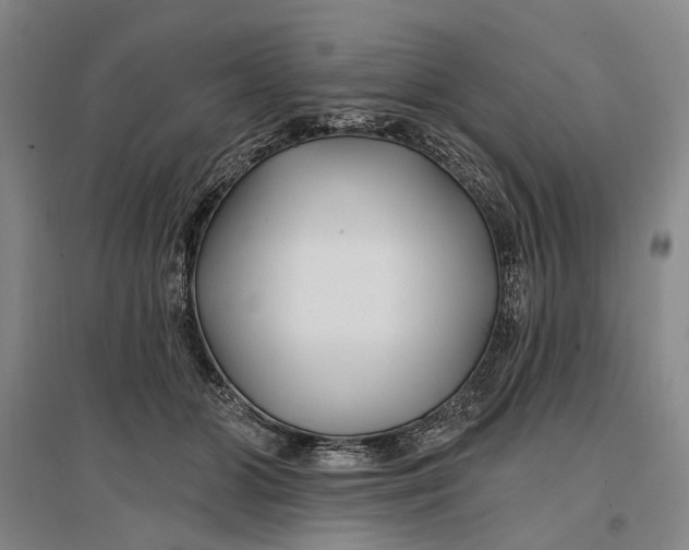 X0000096990510200802291212