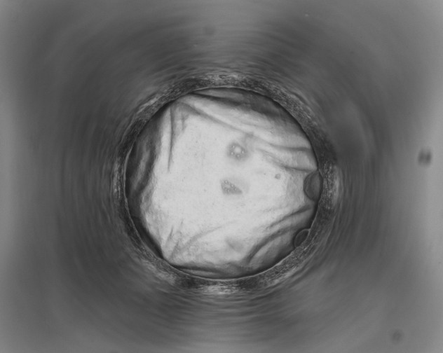 X0000096990511200802291212