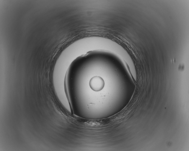 X0000096990512200802291212