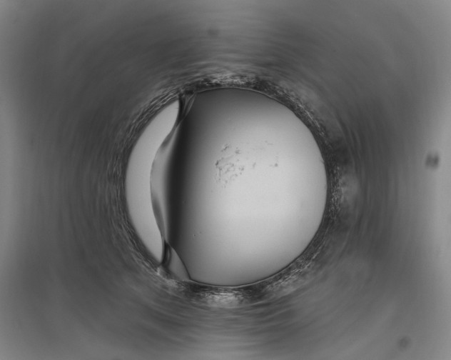 X0000096990513200802291212