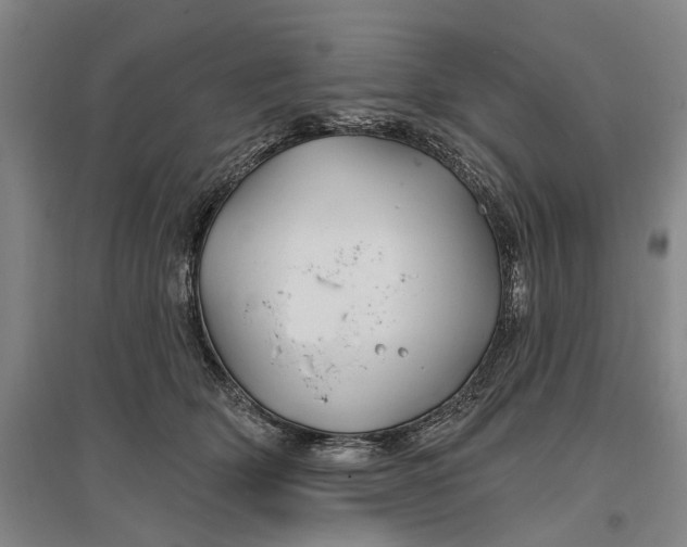 X0000096990514200802291212