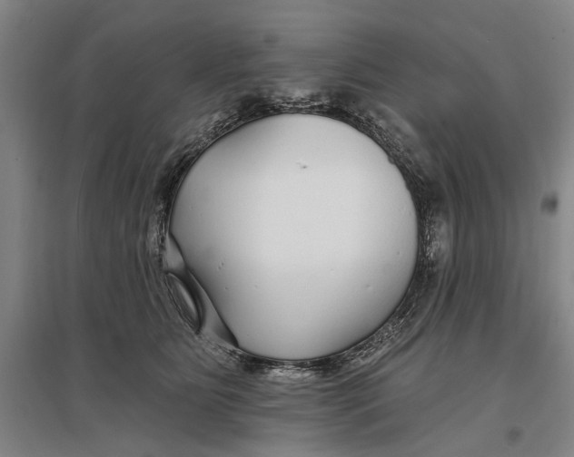 X0000096990515200802291212