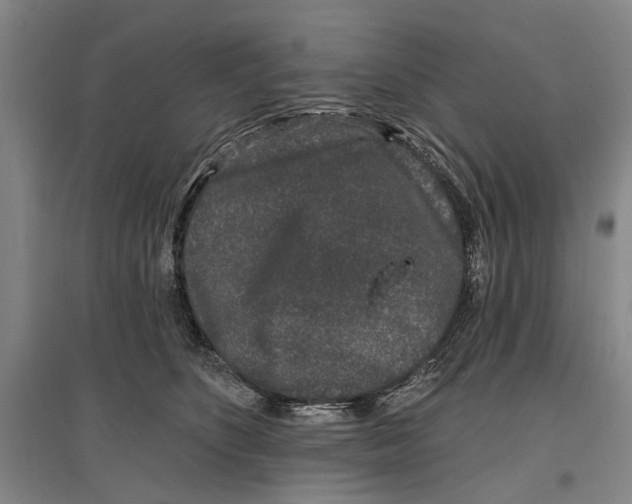 X0000096990516200802291212