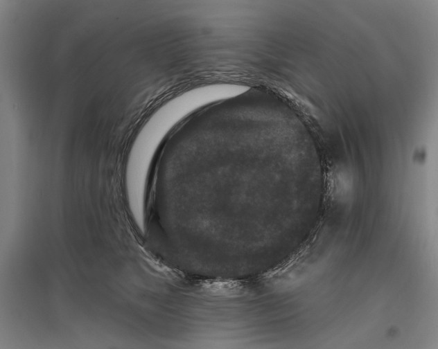 X0000096990517200802291212