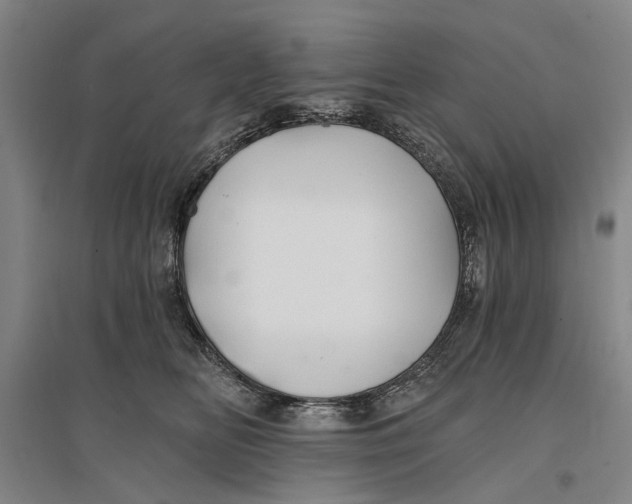 X0000096990518200802291212