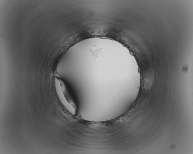 X0000096990521200802291212