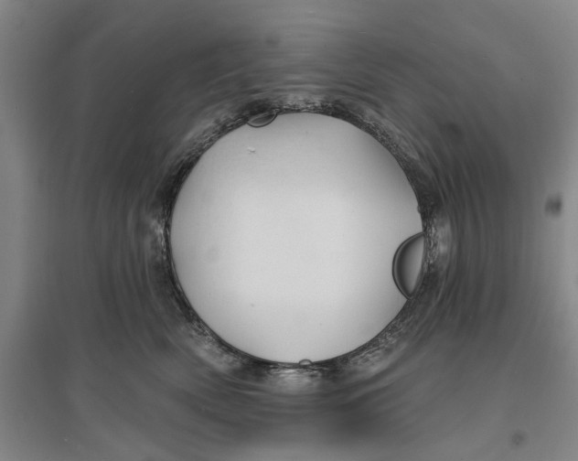 X0000096990522200802291212