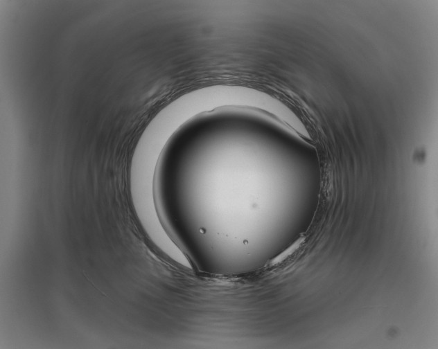 X0000096990523200802291212