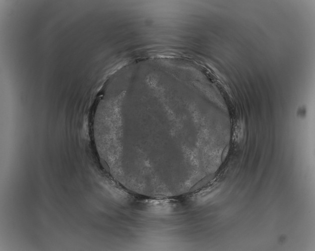 X0000096990524200802291212