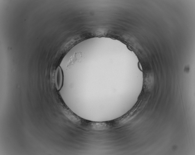 X0000096990525200802291212