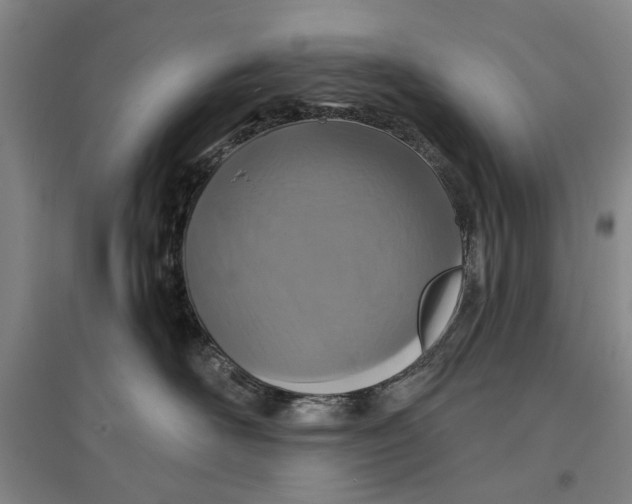 X0000096990526200802291212