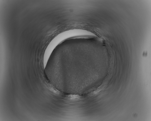 X0000096990528200802291212