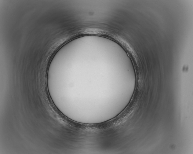 X0000096990529200802291211