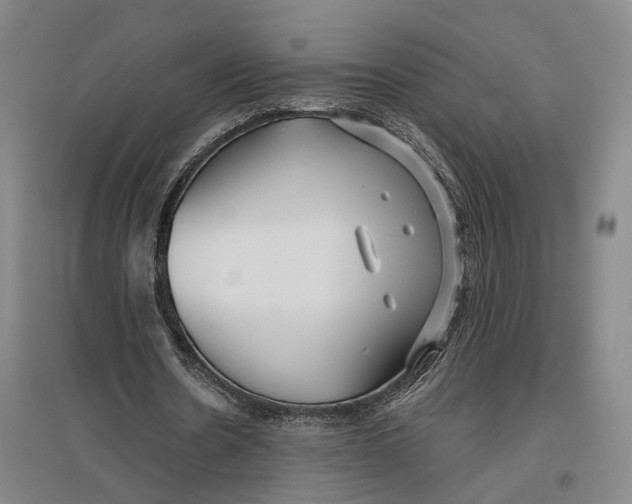 X0000096990530200802291211