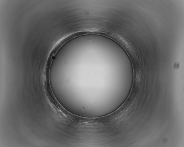 X0000096990532200802291211