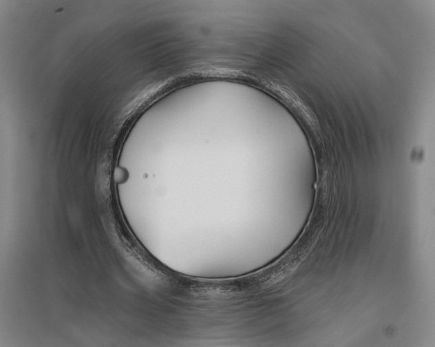 X0000096990533200802291211