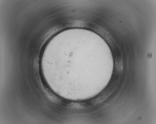 X0000096990534200802291211