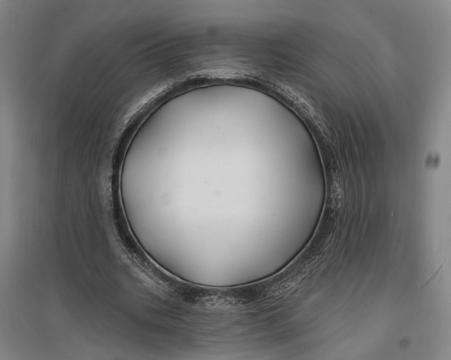 X0000096990535200802291211