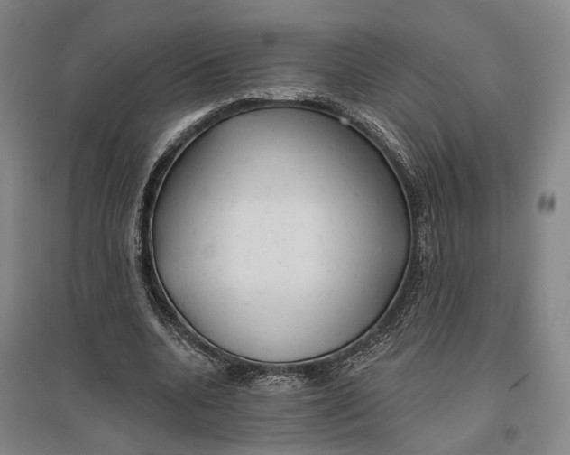 X0000096990536200802291211