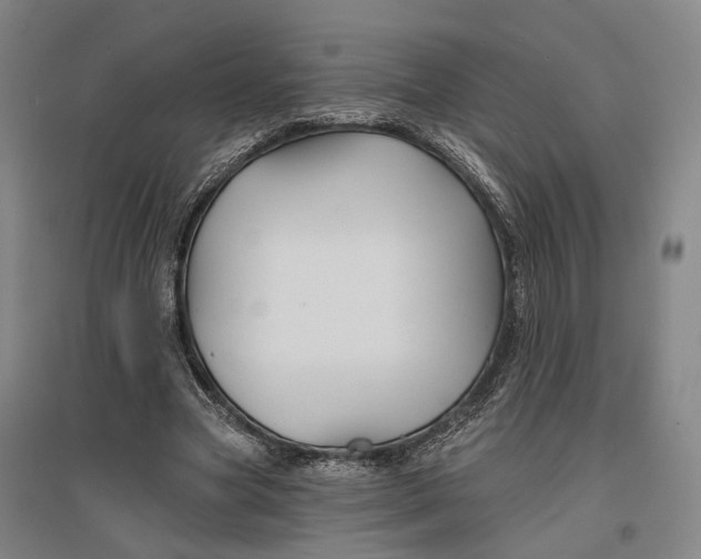 X0000096990537200802291211