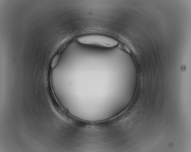 X0000096990538200802291211