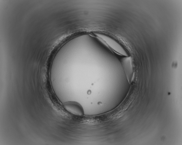 X0000096990540200802291211