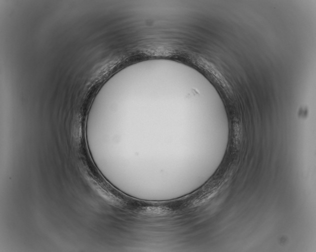 X0000096990541200802291211