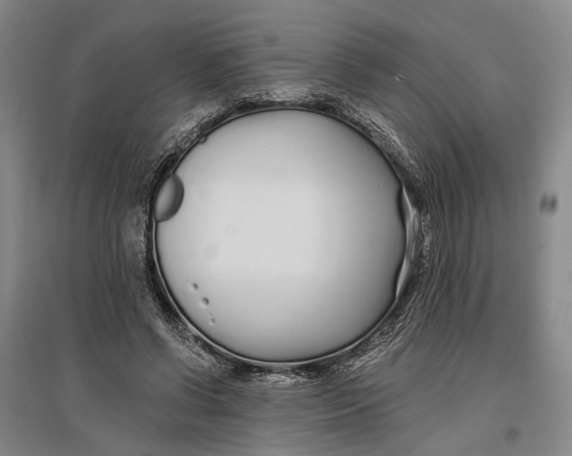 X0000096990542200802291211