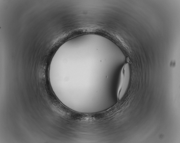 X0000096990543200802291211