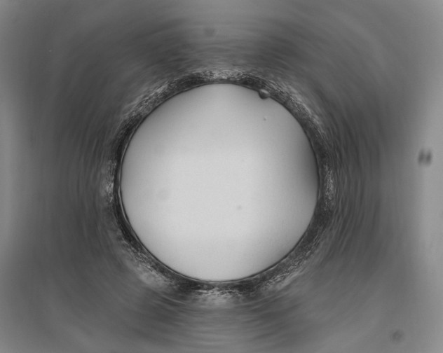 X0000096990545200802291211